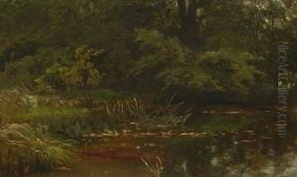 Waldteich. - view 1