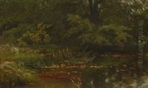 Waldteich. by Friedrich Johann Voltz