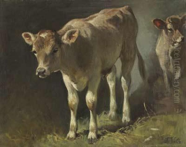 Zwei Kalber - view 1