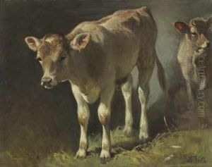 Zwei Kalber by Friedrich Johann Voltz