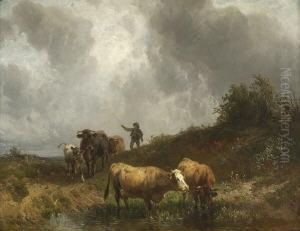 Huterjunge Mit Kuhen Am
 Wassertumpel.