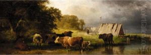 Cattle Watering