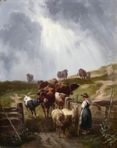 Ruckkehr Von Der Alm.