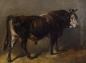 Stier by Friedrich Johann Voltz