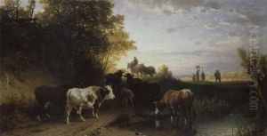 Austrieb Der Kuhherde