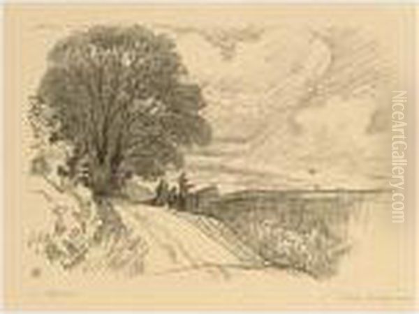 Pillnitz, Weinbergsmauer - view 1