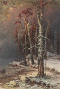 Winter In The Forest Near Lake Peipus Winter In The Forest Near Lake Peipus