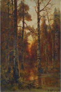 Forest In Autumn Forest In Autumn