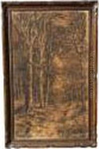 Der Waldweg Der Waldweg