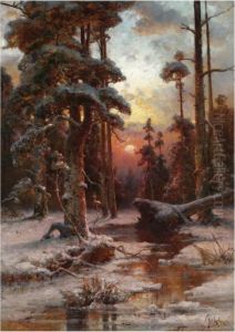 Winter Sun Winter Sun