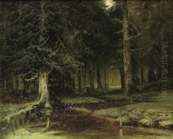 A Look Into The Forest At Dawn - view 1