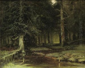 A Look Into The Forest At Dawn