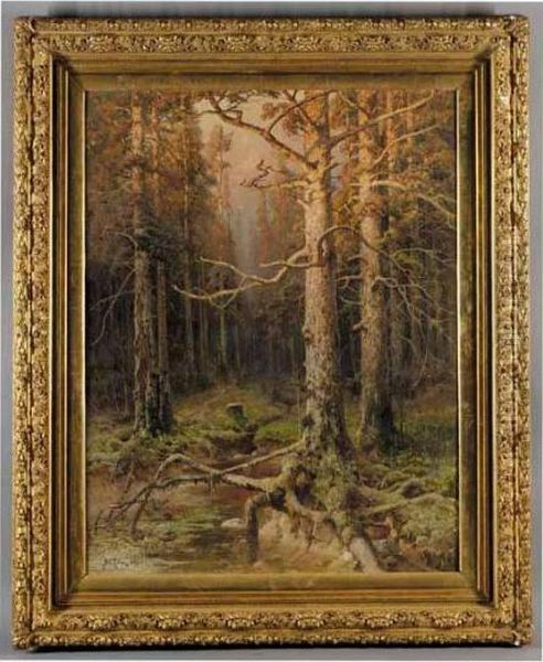Forest Landscape - view 1