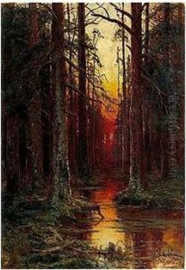 Woodland Scene Woodland Scene