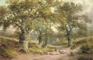A lane near Windley, Derbyshire
