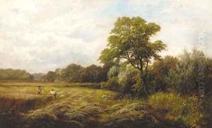 Hayfield, Barrow-on-Trent