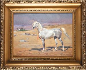 Kon - Arab Na Pustyni