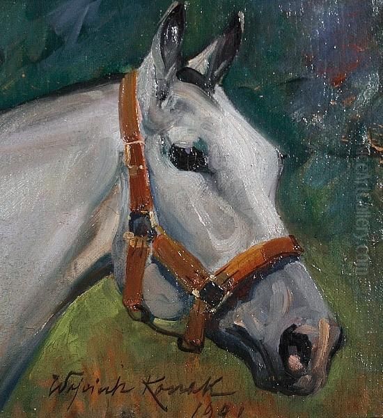Horse - view 1