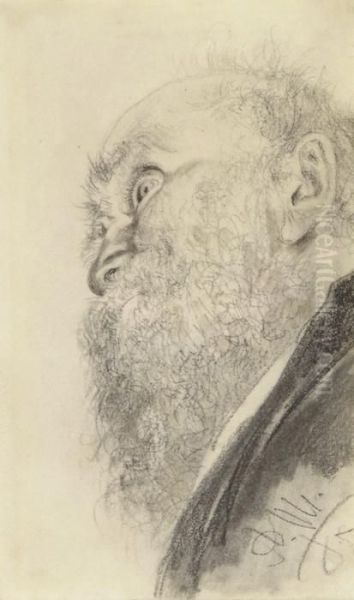 Profil Eines Bartigen Mannes - view 1