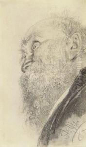 Profil Eines Bartigen Mannes by Adolph von Menzel