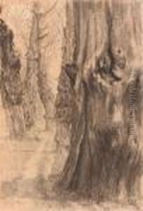 Forest Section Forest Section