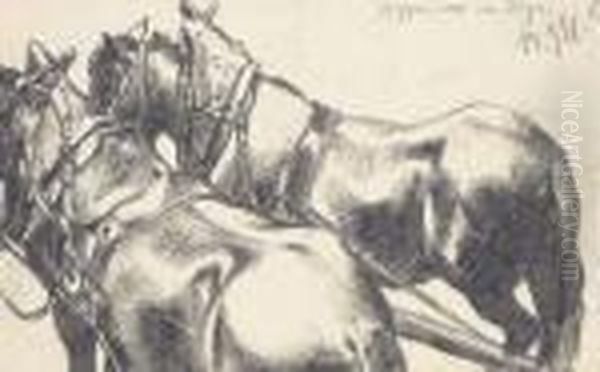 Two Carthorses In Harness, Seen From Behind - view 1