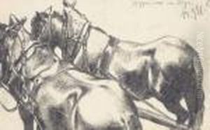 Two Carthorses In Harness, Seen From Behind