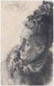 Damenbildnis (portrait Of A Lady) by Adolph von Menzel