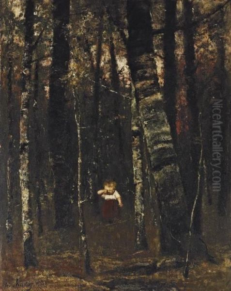 Verirrt I (lost In The Woods) - view 1