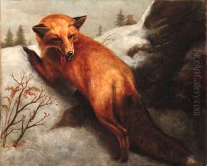 The Red Fox by Abbott Handerson Thayer