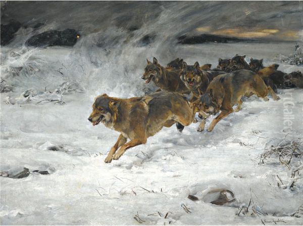 A Pack Of Wolves - view 1
