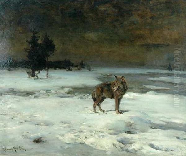 Wilk Samotnik - view 1