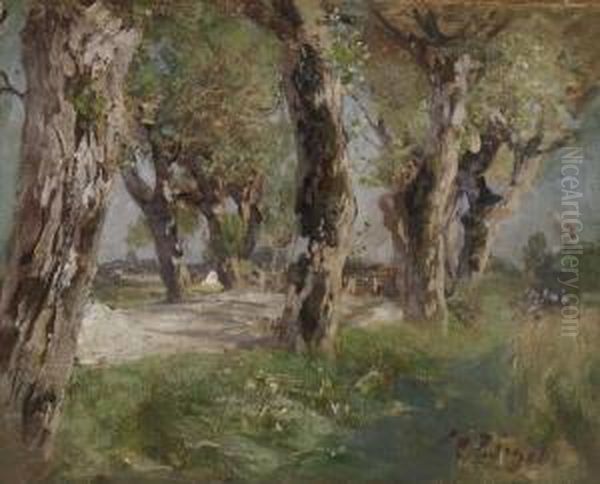 Baumlandschaft - view 1