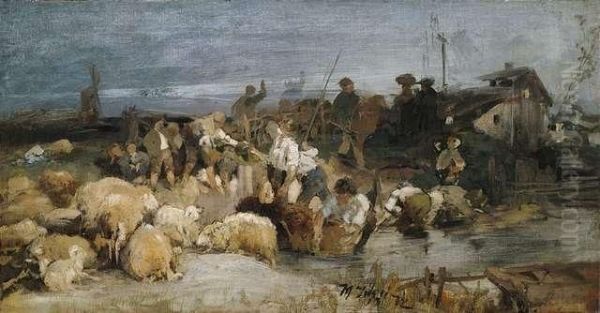 Sheep Washing - view 1
