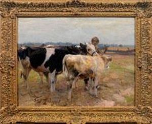 Bauernknabe Mit Drei Jungen Rindern Bauernknabe Mit Drei Jungen Rindern