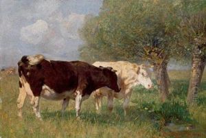 Due Bovini Sull""""alpeggio
