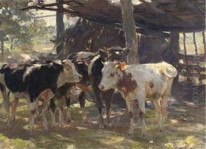 Cattle In Front Of A Stable Cattle In Front Of A Stable