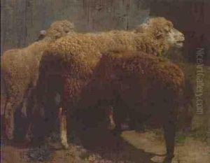 Drei Schafe Im Stall by Heinrich Johann Von Zugel