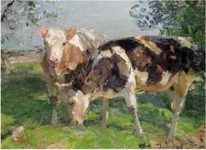 Two Calves
