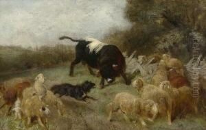 Ausgebrochener Bulle. Ausgebrochener Bulle.