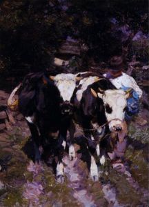 Two Harnessed Calves
