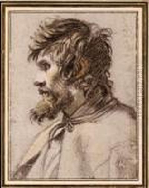 Head And Shoulders Of A Man Seen In Profile - view 1