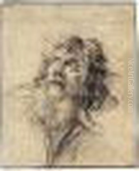 Head Of A Bearded Man, Looking Up To The Left - view 1
