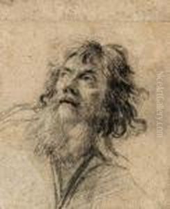 The Head Of A Bearded Man, Looking Up To The Left