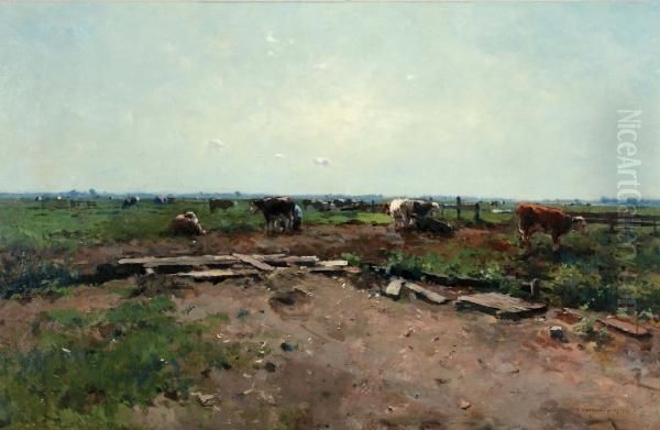 Weidelandschap Met Koeien - view 1