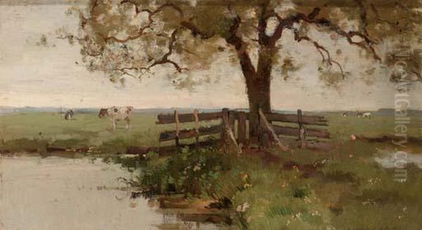 A Flowering Meadow - view 1