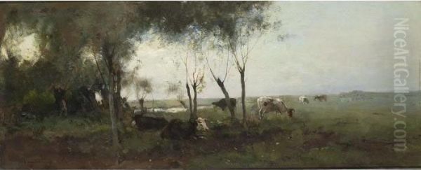 Cows Grazing In A Meadow. - view 1