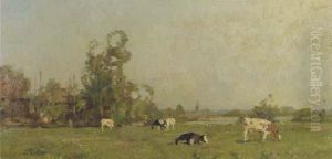 Cows In A Summer Meadow Cows In A Summer Meadow