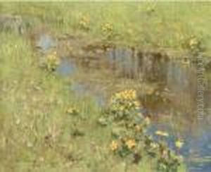 A Stream Running Through A Watermeadow A Stream Running Through A Watermeadow