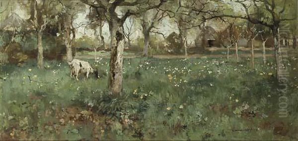 A Goat Grazing In A Spring Orchard - view 1